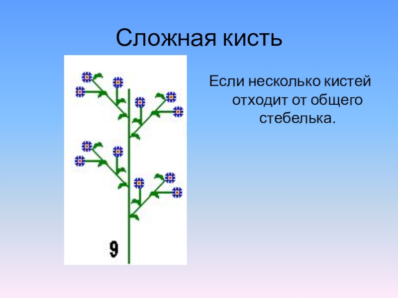 Метелка примеры