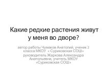 Презентация по окружающему миру по теме Какие редкие растения живут у меня во дворе?