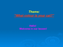 What colour is your cat? 5 grade