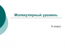 Презентация по биологии Молекулярный уровень 9 класс