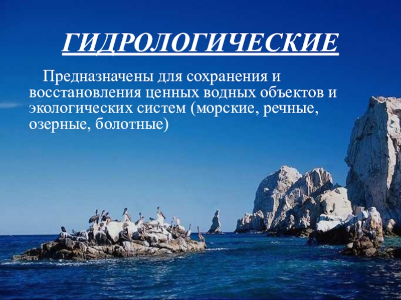 Презентация по Экологическим основам природопользования Особоохраняемые территории ГИДРОЛОГИЧЕСКИЕ Предназначены для сохранения и восстановления ценных водных объектов и ГИДРОЛОГИЧЕСКИЕ Предназначены для сохранения и восстановления ценных водных объектов и экологических систем (морские, речные,