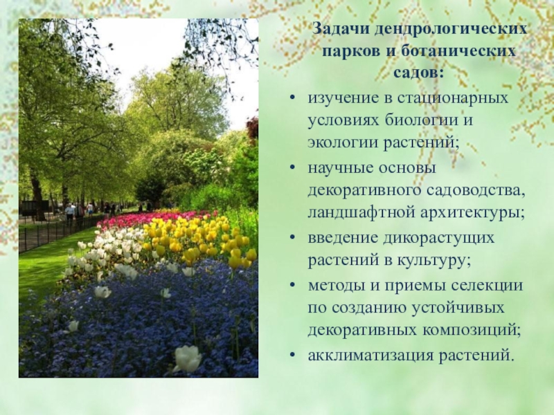 Презентация по Экологическим основам природопользования Особоохраняемые территории Задачи дендрологических парков и ботанических садов:изучение в стационарных условиях Задачи дендрологических парков и ботанических садов:изучение в стационарных условиях биологии и экологии растений;научные основы