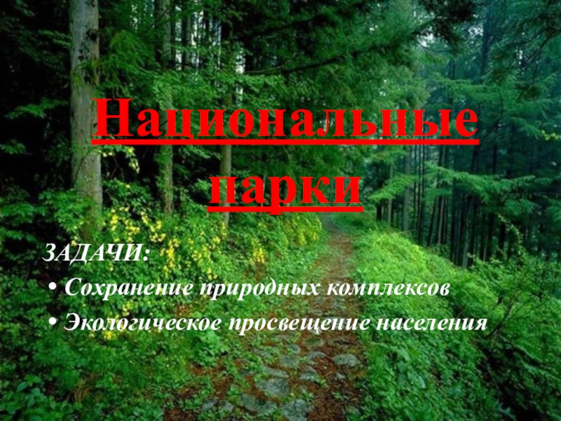 Презентация по Экологическим основам природопользования Особоохраняемые территории Национальные паркиЗАДАЧИ:Сохранение природных комплексовЭкологическое просвещение населения Национальные паркиЗАДАЧИ:Сохранение природных комплексовЭкологическое просвещение населения