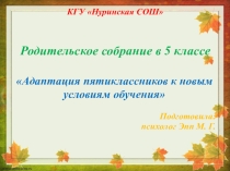 Презентация Адаптация пятиклассников к новым условиям обучения
