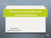 Презентация ученика по музыке мир музыкальных инструментов (8 класс)