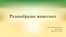 Презентация по окружающему миру на тему Разнообразие животных (2 класс)