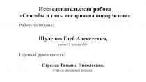 Исследовательская работа Способы и типы восприятия информации