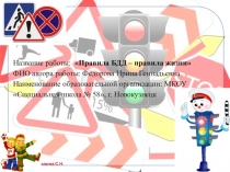 Правила БДД – правила жизни