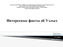 Презентация Интересные факты об Уэльсе и уэльсцах