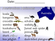 Презентация по английскому языку на тему Spotlight on Australia (3 класс)