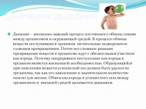 Презентация по биологии на тему Дыхательнач система 8 класс