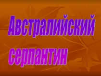 Презентация к уроку Австралия (7 класс)