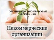 Организационно-правовые формы некоммерческих организаций