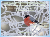 Презентация в детском садуЗимующие птицы старшая группа