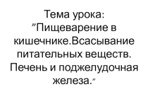 Презентация к уроку биологии по теме Пищеварение в тонком кишечнике