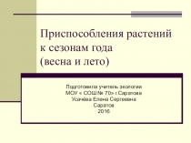 Презентация к уроку экологии по теме: Приспособленность растений к сезонам года ( весна, лето) 6 класс