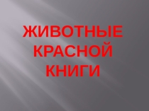 Презентация Животные Красной книги.