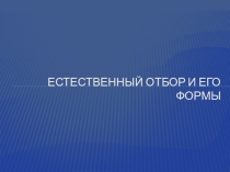Презентация по биологии на тему Естественный отбор и его формы (11 класс)