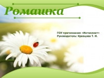 Презентация к проекту Ромашка, ромашка - цветок полевой