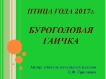Классный час Птица года