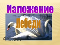 Презентация к обучающему изложению Лебеди