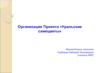 Презентация проекта Уральские самоцветы