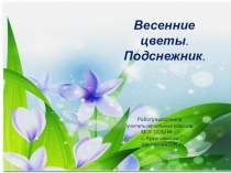 Презентация по ИЗО на тему  Рисуем подснежник.