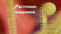 Презентация к исследовательской работе Растения - хищники