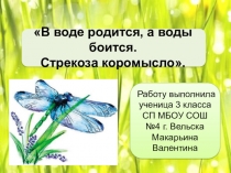 Презентация по окружающему миру В воде родится, а воды боится. (3 класс)
