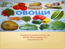 Логопедическое занятие-презентация по теме: Овощи