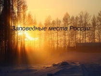 Презентация к уроку Заповедные места России