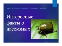 Насекомые