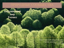 Презентация по окружающему миру Природные сообщества