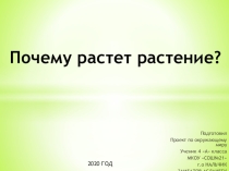 Презентация. Проект  Почему растут растение?