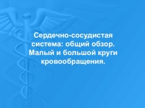 Презентация к учебному занятию по дисциплине: Анатомия: Сердечно-сосудистая система: общий обзор. Малый и большой круги кровообращения