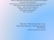 Презентация к исследовательской работе 4 кл