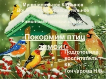 Презентация Покормим птиц зимой