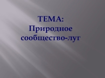 Презентация Природное сообщество-лугокружающий мир.