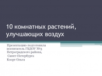 Десять комнатных растений, очищающих воздух
