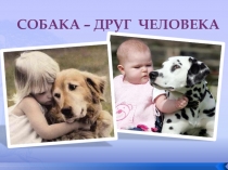 Презентация для дошкольников на тему: Собака-друг человека.