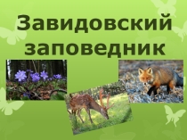 Презентация по географии: Изучаем родной край. Завидовский заповедник