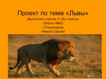 Презентация к проекту Львы
