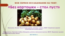 Презентация к исследовательской работе на тему
