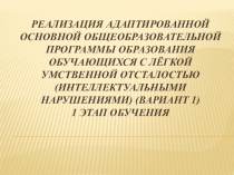 Реализация Адаптированной Основной Общеобразовательной Программы образования обучающихся с лёгкой умственной отсталостью (интеллектуальными нарушениями) (Вариант 1) 1 этап обучения