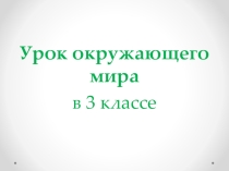 Презентация к уроку Лес и его обитатели 3 класс