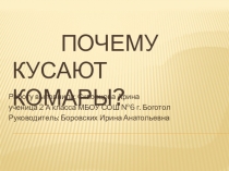 Презентация Почему кусают комары