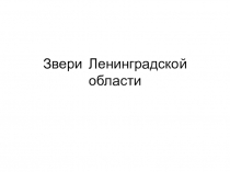 Презентация для детей дошкольного и младшего школьного возраста Звери Ленинградской области