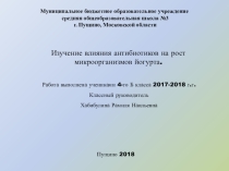 Изучение влияния антибиотиков на рост микроорганизмов йогурта