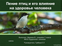 Презентация по теме Пение птиц и его влияние на здоровье человека
