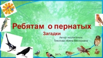 Презентация Ребятам о пернатых